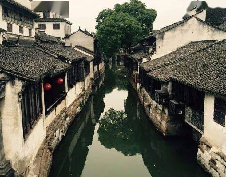 植物大战僵尸17